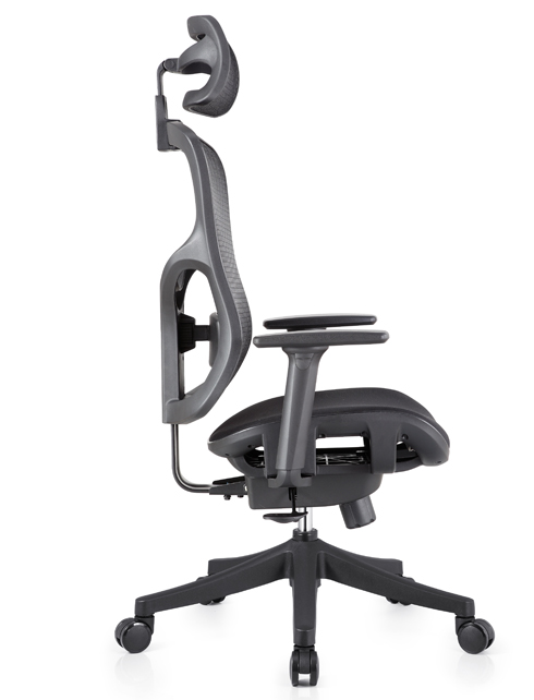Anatom hb chair deals